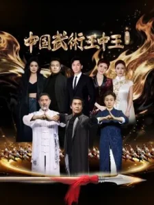 中国武术王中王第二季