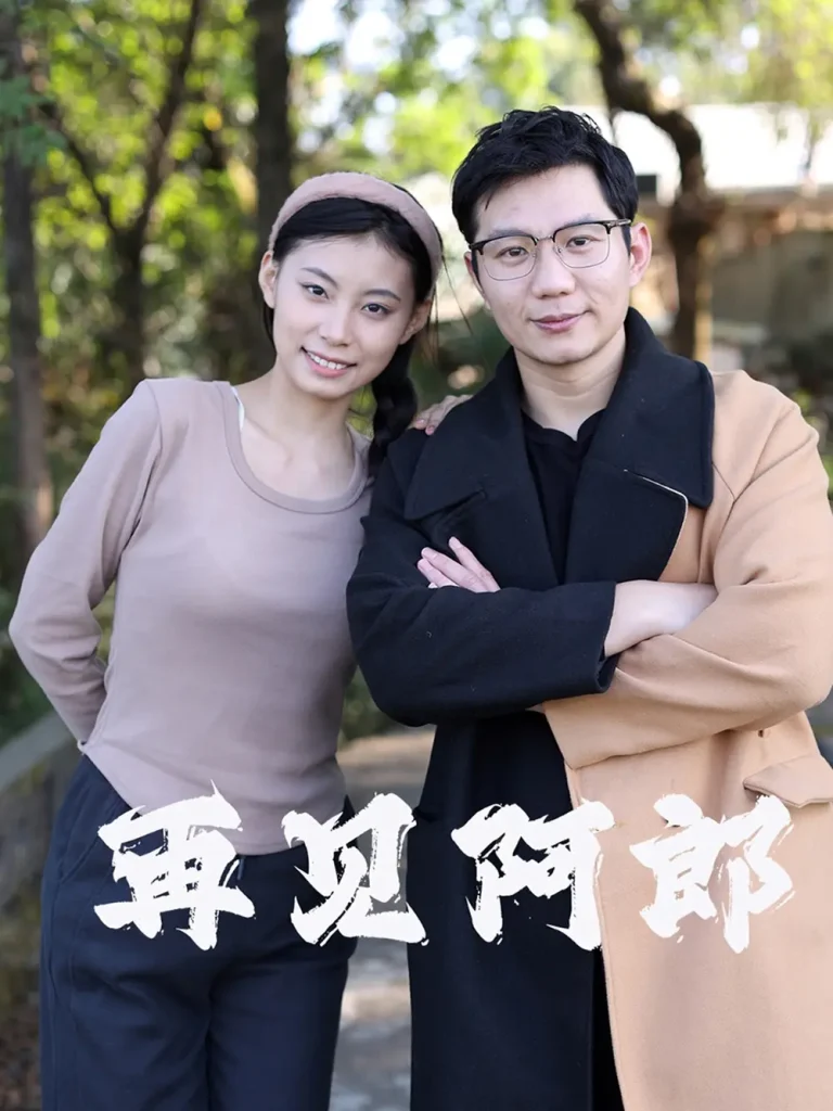 《再见阿郎》全集高清完整版在线观看与剧情解析