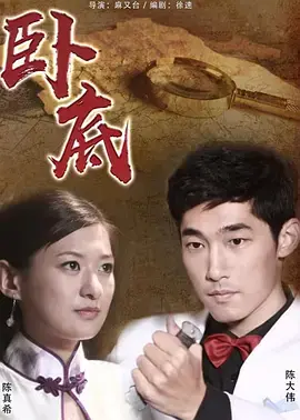 《卧底2010》全集高清完整版在线观看与剧情解析