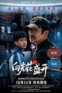向光花盛开
