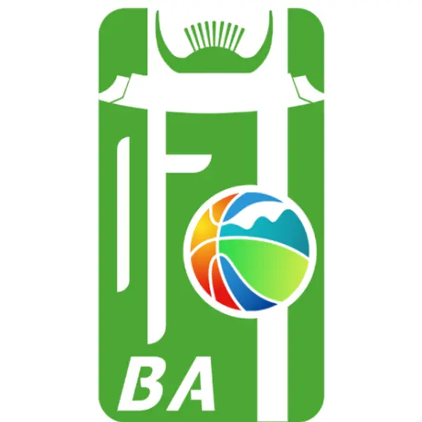 《和美乡村篮球赛 DAY1抚市会场20251027》全集高清完整版在线观看与剧情解析