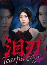 《娇藏》全集高清完整版在线观看与剧情解析