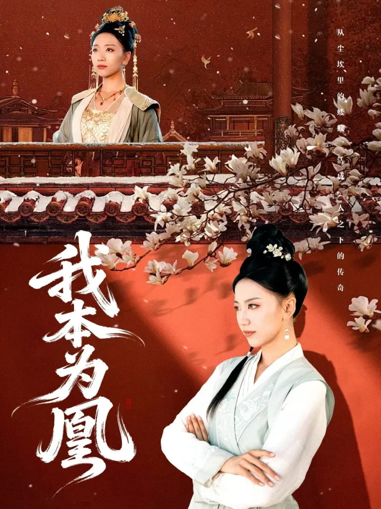 《我本为凰》全集高清完整版在线观看与剧情解析