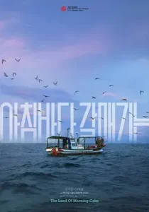 晨海的海鸥