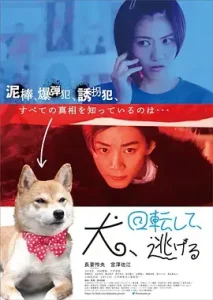 狗转了一圈 逃跑了