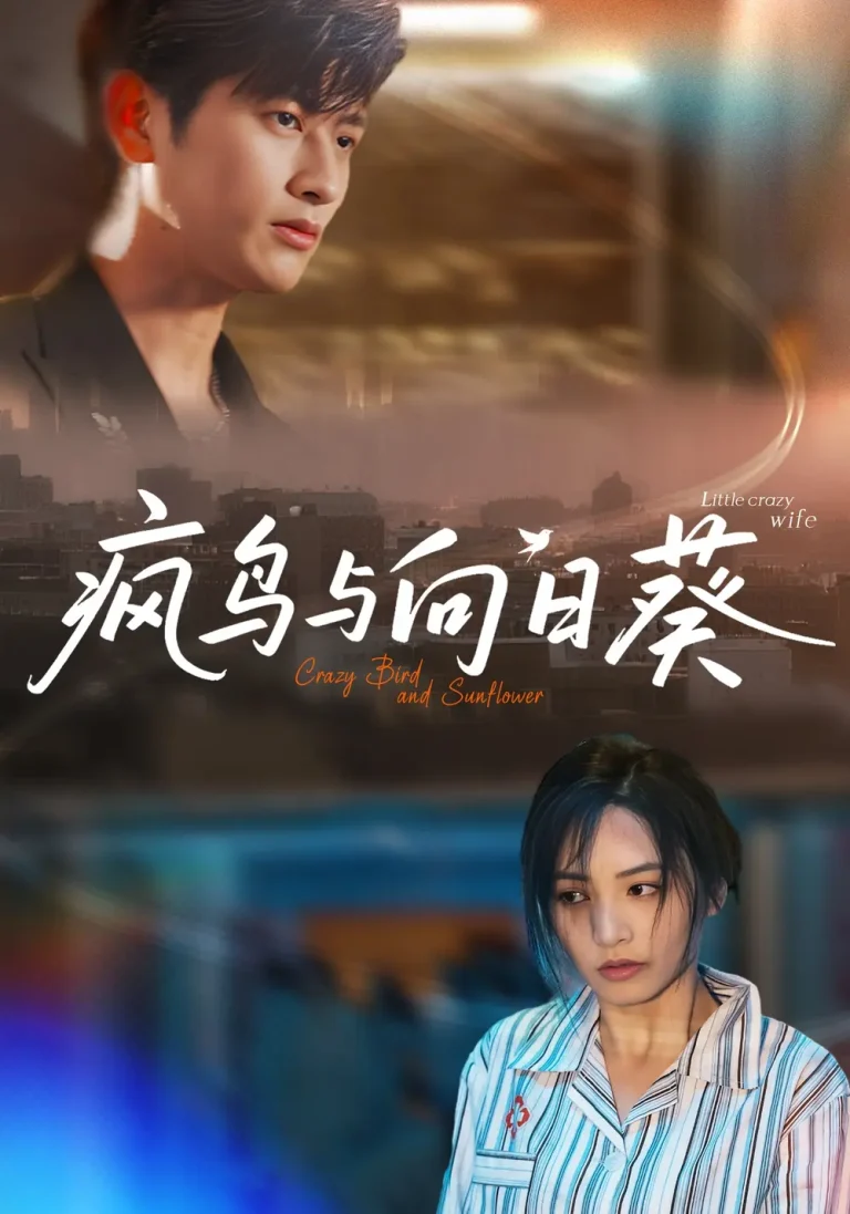 《疯鸟与向日葵》全集高清完整版在线观看与剧情解析