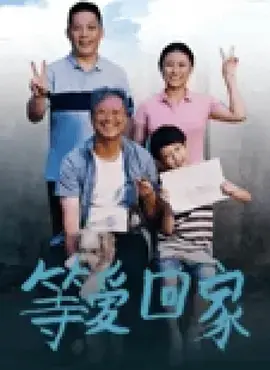 《等爱回家2025》全集高清完整版在线观看与剧情解析