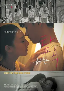 《贪婪2016》全集高清完整版在线观看与剧情解析