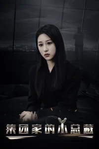 集团家的小总裁