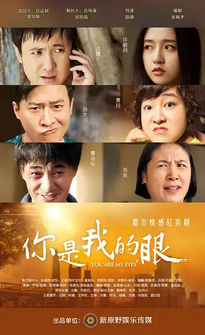 《你是我的眼2015[电影解说]》全集高清完整版在线观看与剧情解析