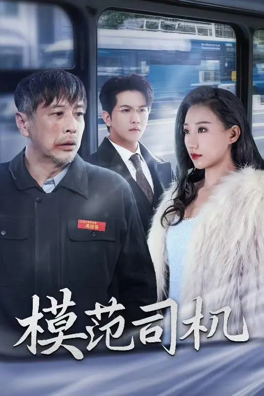 《模范司机》全集高清完整版在线观看与剧情解析