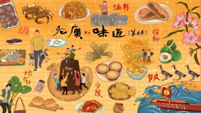 《老广的味道 第十季》全集高清完整版在线观看与剧情解析